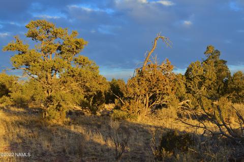 4404 E Valle Rd, Williams, AZ 86046 photo 8
