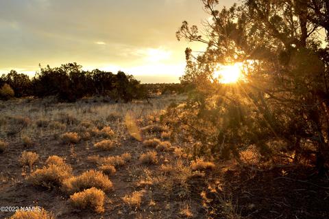 4404 E Valle Rd, Williams, AZ 86046 photo 2