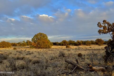 4404 E Valle Rd, Williams, AZ 86046 photo 9