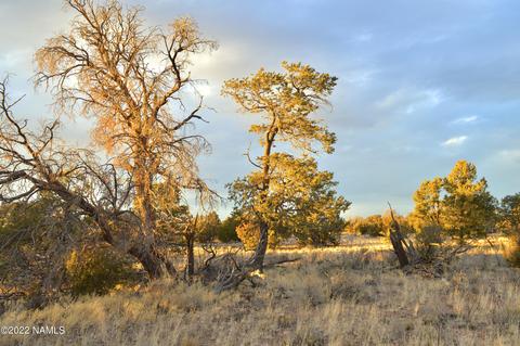 4404 E Valle Rd, Williams, AZ 86046 photo 4