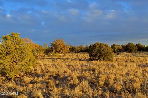 4404 E Valle Rd, Williams, AZ 86046 photo 5