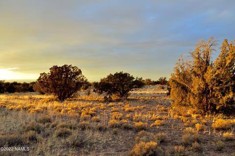 4404 E Valle Rd, Williams, AZ 86046 photo 3