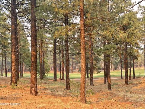 4170 S Lariat Loop #85, Flagstaff, AZ 86005