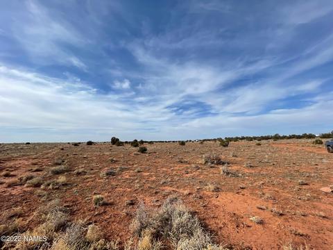 1730 E Pine Rd, Williams, AZ 86046 photo 6