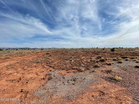 1730 E Pine Rd, Williams, AZ 86046 photo 4