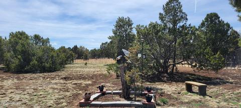 515 E Tall Tree St, Williams, AZ 86046 photo 57