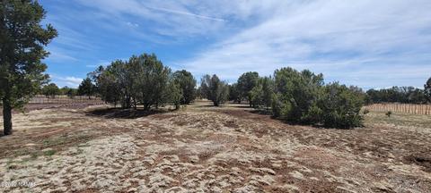 515 E Tall Tree St, Williams, AZ 86046 photo 59