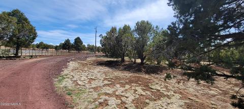 515 E Tall Tree St, Williams, AZ 86046 photo 63