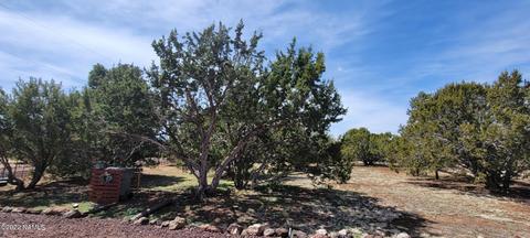 515 E Tall Tree St, Williams, AZ 86046 photo 58