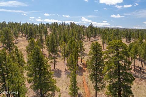 751 Celilo, Flagstaff, AZ 86005 photo 29