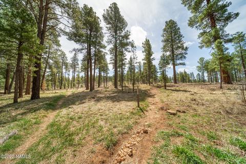 751 Celilo, Flagstaff, AZ 86005 photo 31
