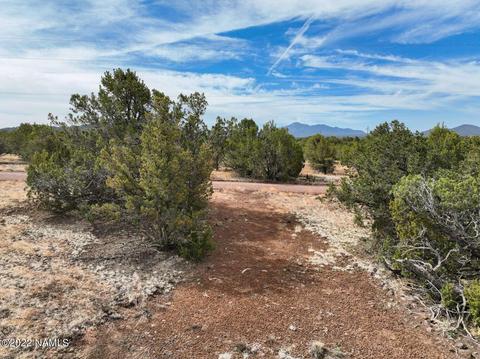 73 E Tall Tree St #566, Williams, AZ 86046 photo 16