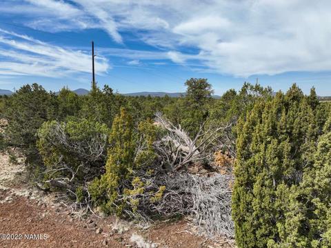 73 E Tall Tree St #566, Williams, AZ 86046 photo 17