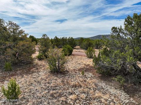 73 E Tall Tree St #566, Williams, AZ 86046 photo 21