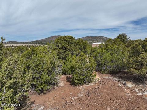 73 E Tall Tree St #566, Williams, AZ 86046 photo 18