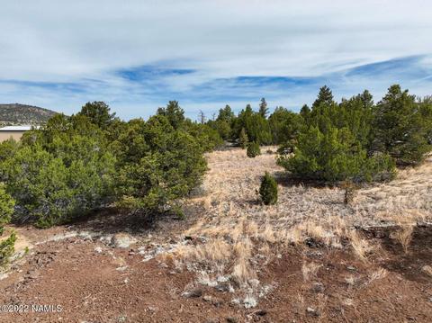 73 E Tall Tree St #566, Williams, AZ 86046 photo 19