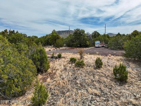 73 E Tall Tree St #566, Williams, AZ 86046 photo 20