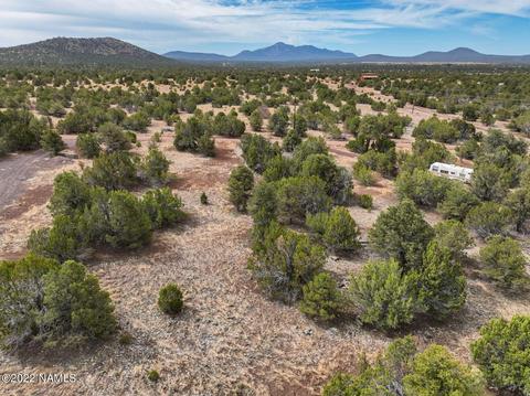 73 E Tall Tree St #566, Williams, AZ 86046 photo 12