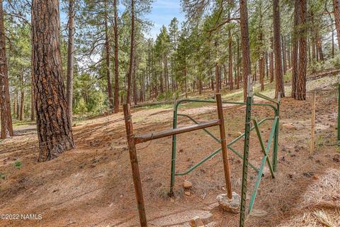 3789 Canyon Loop, Flagstaff, AZ 86005 photo 66