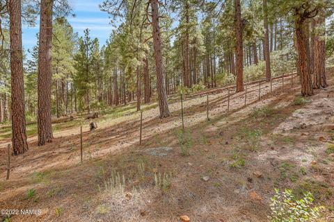 3789 Canyon Loop, Flagstaff, AZ 86005 photo 64