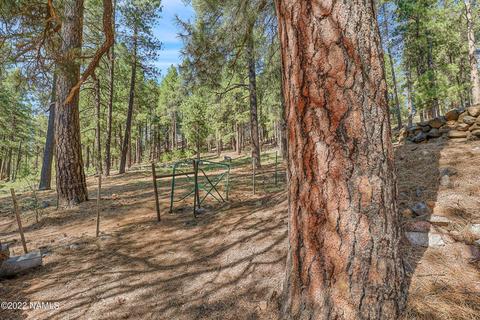 3789 Canyon Loop, Flagstaff, AZ 86005 photo 62