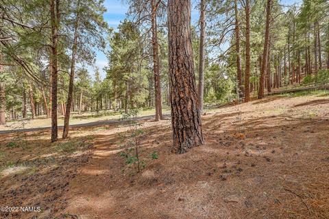 3789 Canyon Loop, Flagstaff, AZ 86005 photo 65