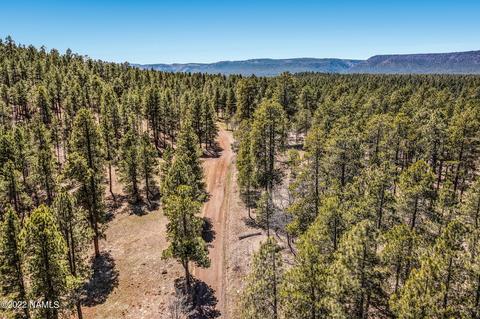 3789 Canyon Loop, Flagstaff, AZ 86005 photo 57