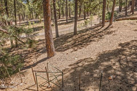 3789 Canyon Loop, Flagstaff, AZ 86005 photo 60