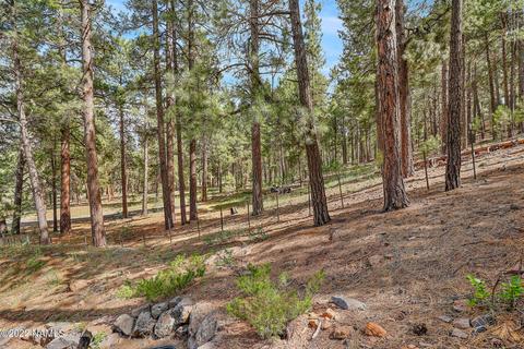 3789 Canyon Loop, Flagstaff, AZ 86005 photo 61