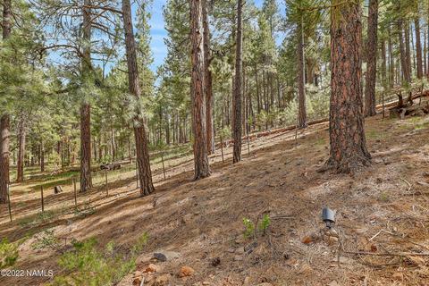 3789 Canyon Loop, Flagstaff, AZ 86005 photo 63