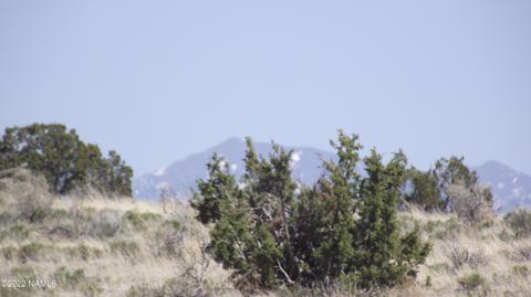578 E Concho Rd, Williams, AZ 86046 photo 8