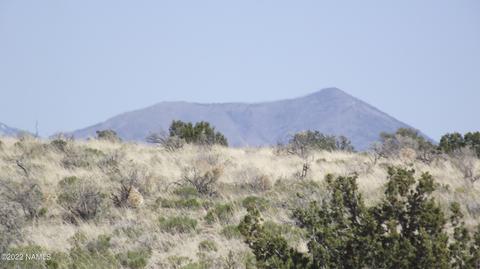 578 E Concho Rd, Williams, AZ 86046 photo 3