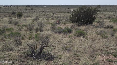 578 E Concho Rd, Williams, AZ 86046 photo 11