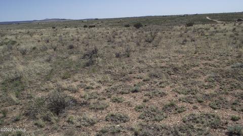 578 E Concho Rd, Williams, AZ 86046 photo 9