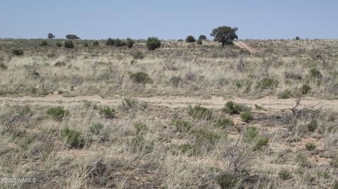 578 E Concho Rd, Williams, AZ 86046 photo 12