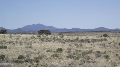 578 E Concho Rd, Williams, AZ 86046 photo 4