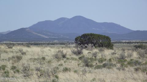 578 E Concho Rd, Williams, AZ 86046 photo 1