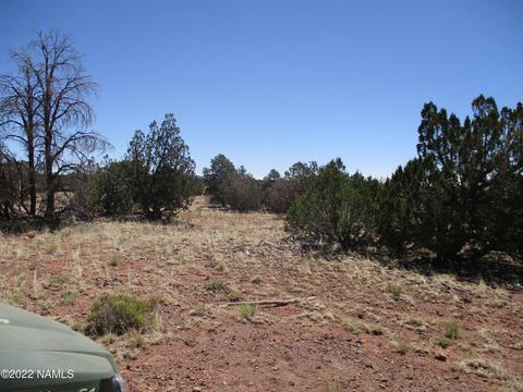 7774 Lasso Loop, Williams, AZ 86046 photo 19