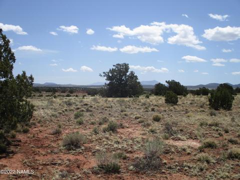 7774 Lasso Loop, Williams, AZ 86046 photo 8