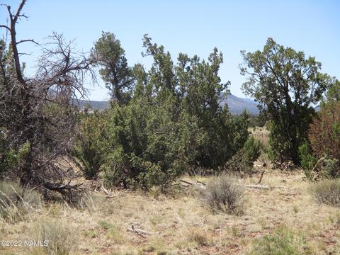 7774 Lasso Loop, Williams, AZ 86046 photo 25