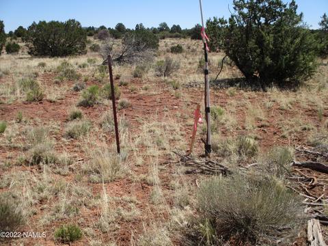 7774 Lasso Loop, Williams, AZ 86046 photo 17