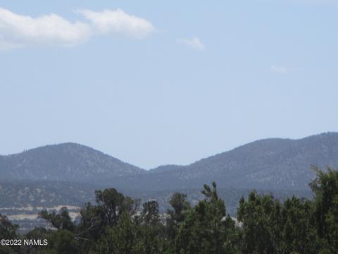7774 Lasso Loop, Williams, AZ 86046 photo 5