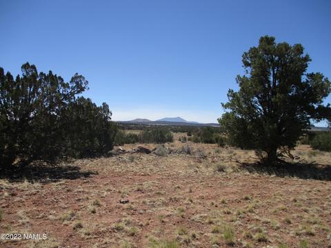 7774 Lasso Loop, Williams, AZ 86046 photo 18
