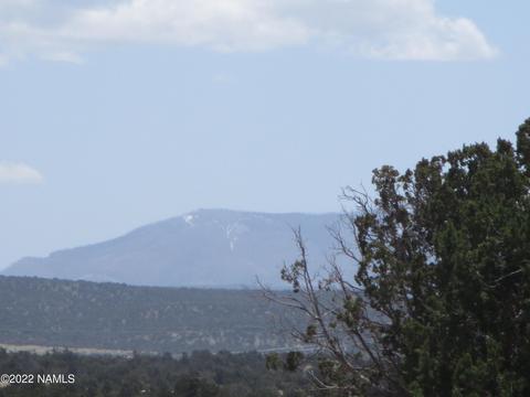 7774 Lasso Loop, Williams, AZ 86046 photo 10