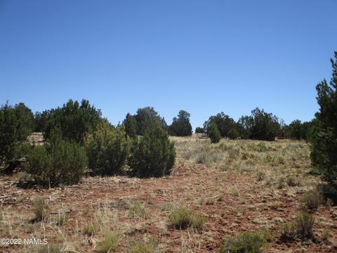 7774 Lasso Loop, Williams, AZ 86046 photo 22