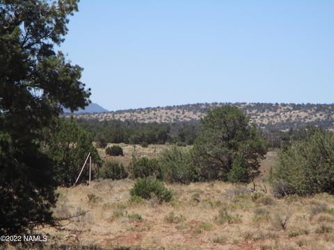 7774 Lasso Loop, Williams, AZ 86046 photo 3