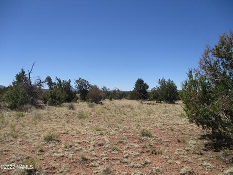 7774 Lasso Loop, Williams, AZ 86046 photo 24