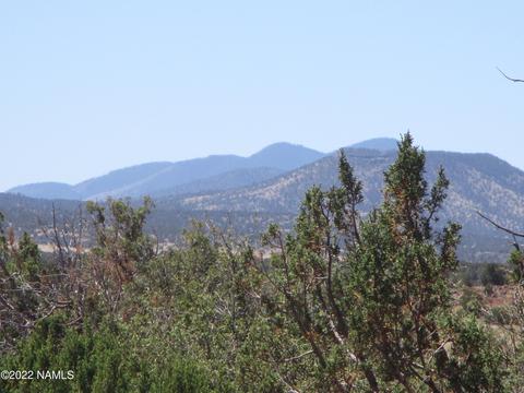 7774 Lasso Loop, Williams, AZ 86046 photo 1