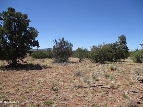 7774 Lasso Loop, Williams, AZ 86046 photo 20