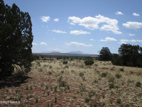 7774 Lasso Loop, Williams, AZ 86046 photo 12